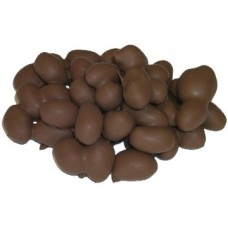 Chocolate Covered Peanuts