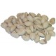 Pistachios in shell