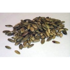 Roasted & Salted Pumpkin Seeds