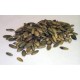 Roasted & Salted Pumpkin Seeds